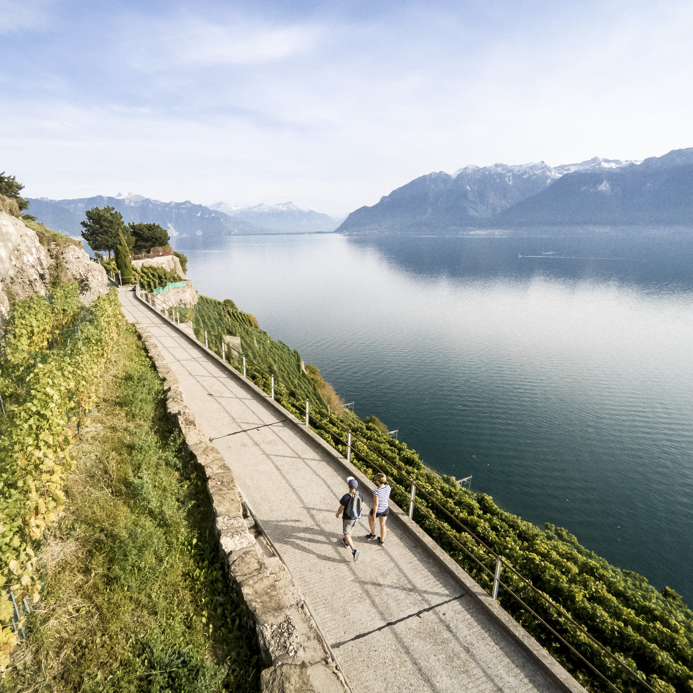 <p class="p1"><strong>18:00 Uhr – Sonnenuntergang in Lavaux</strong></p>
